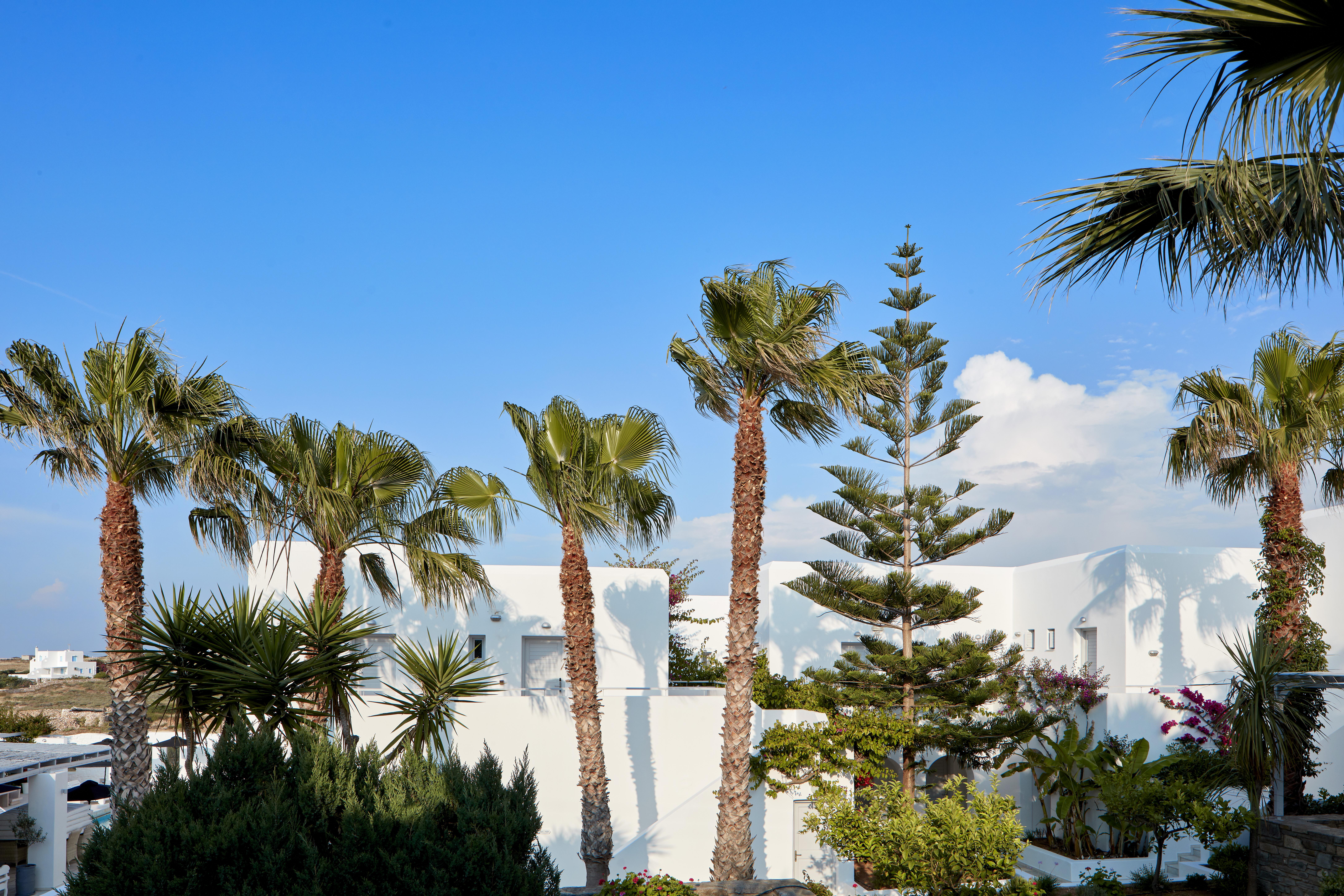 Hotel Mr And Mrs White Paros Naousa  Exterior foto